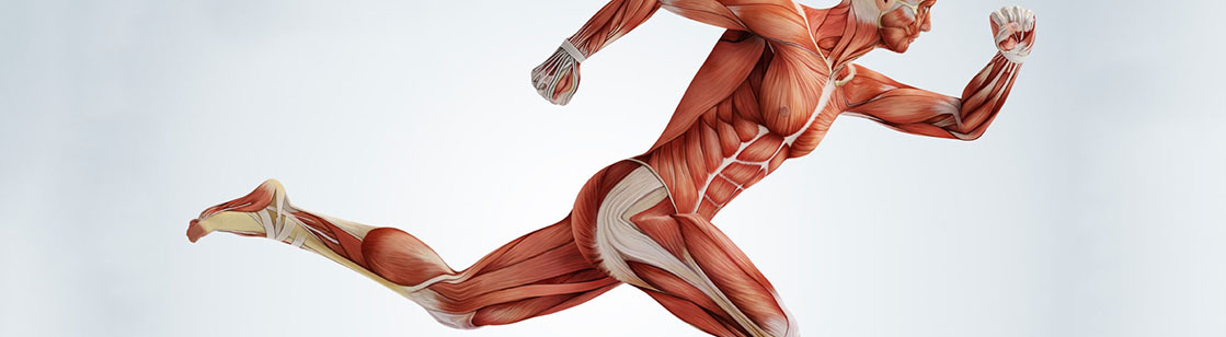 Hybrid Training.